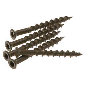 Screws (each) (SS-T5)